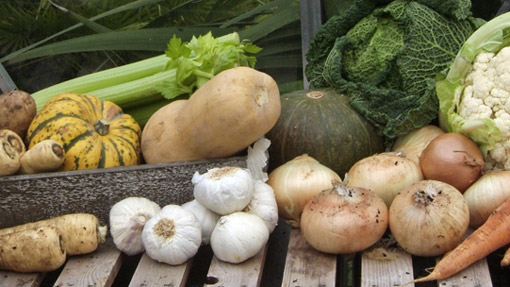 Allotments - Vacant Plot available